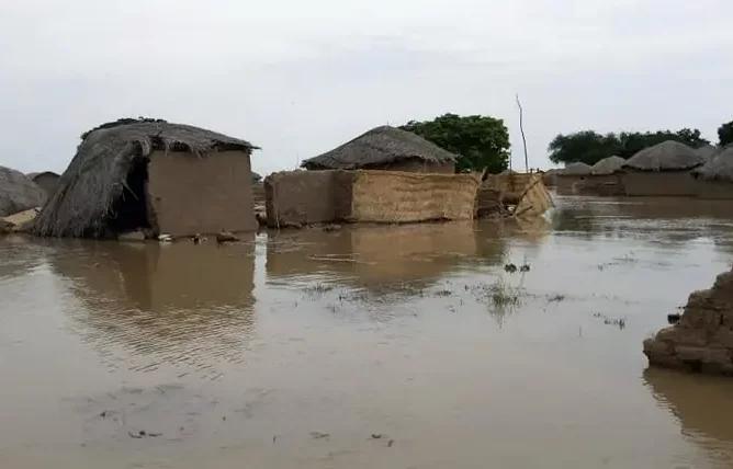 Au Cameroun, des inondations meurtrières