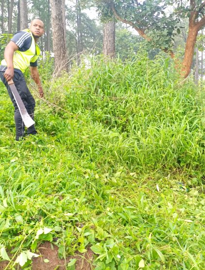 Jeudi propre au Bois de Mardock 3