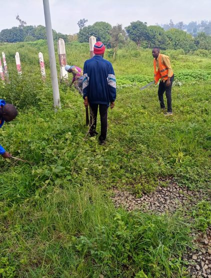 Jeudi propre au Bois de Mardock 6