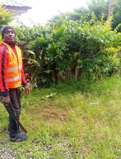 Jeudi propre au Bois de Mardock 7