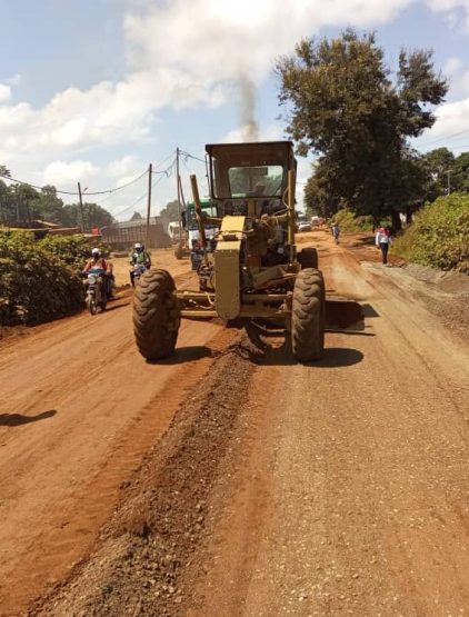 Travaux de remblaiement et de bouchage de nid 0